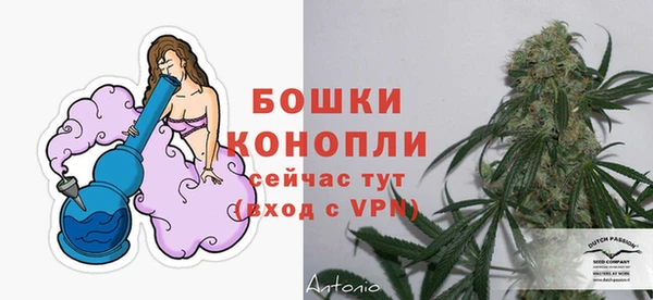спайс Богородицк