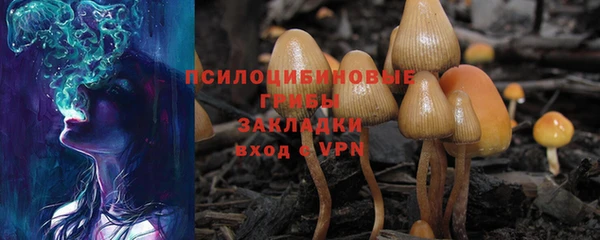 кристаллы Богданович