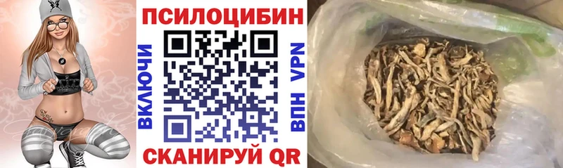 купить наркотик  Кондопога  Галлюциногенные грибы Cubensis 